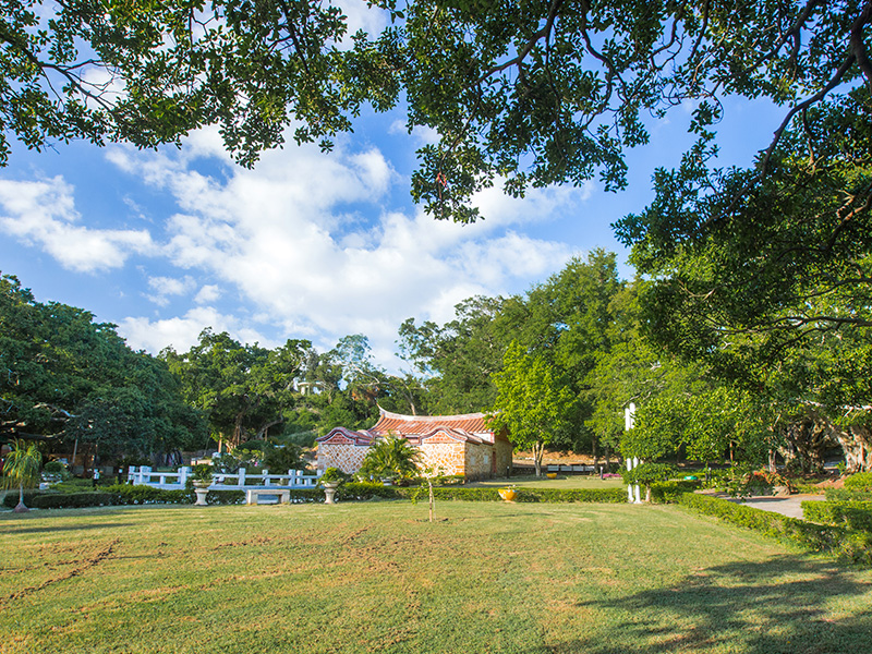 Ficus Garden