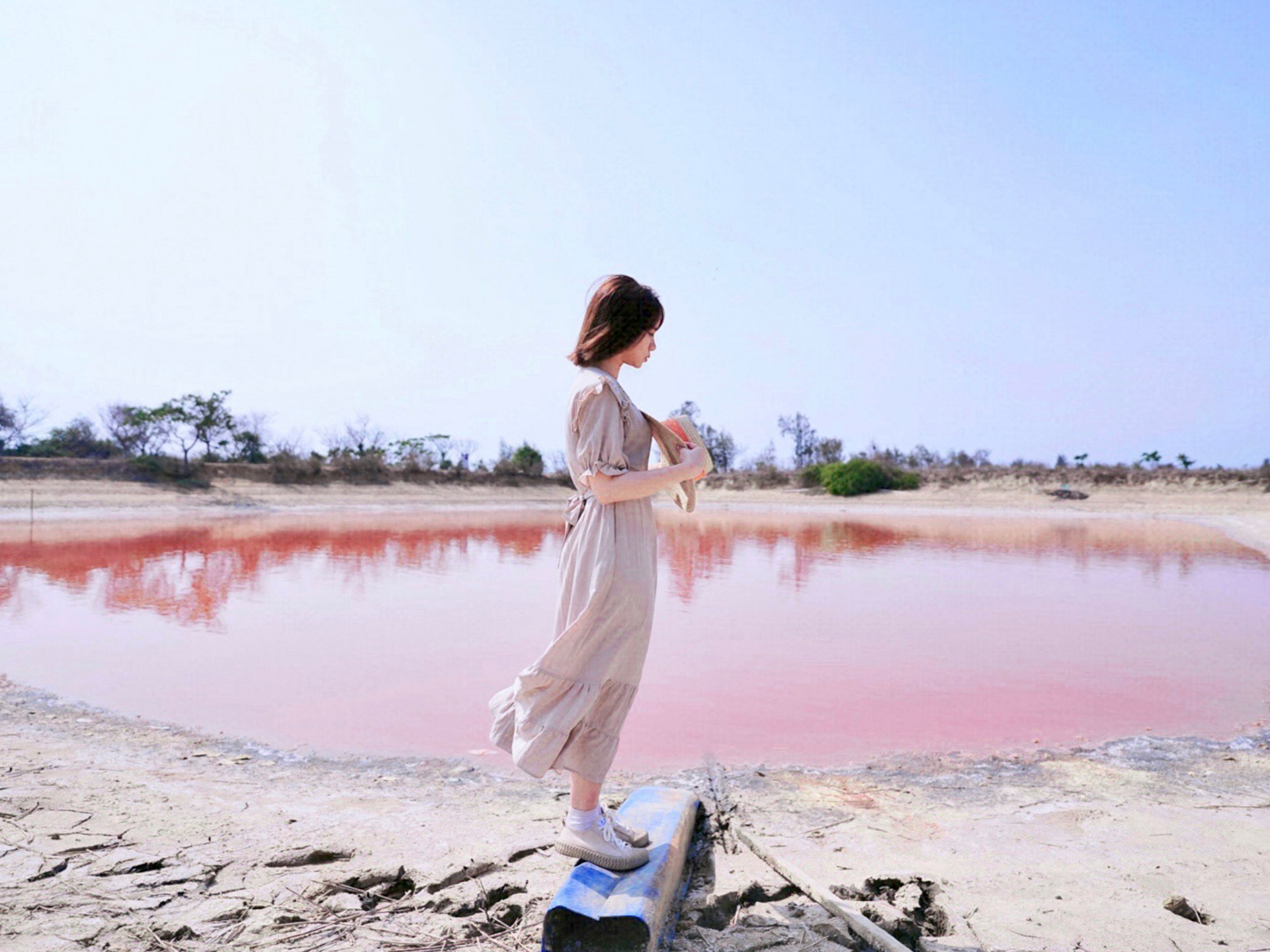 Pink lake