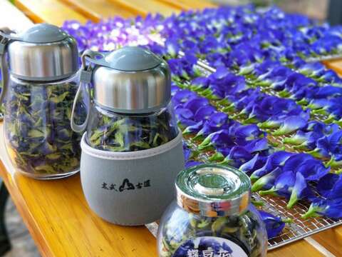 販售自焙養生蝶豆花  買大送小(30g送10g)