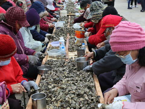 石蚵小麥文化季請大家一同來參與