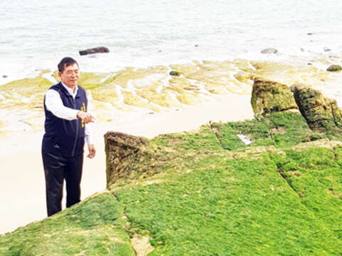 烈嶼鄉南山頭的海岸，最近一大片綠油油的「綠石槽」海岸景觀，烈嶼鄉代會主席方駿洋歡迎大家走訪南山頭海岸，欣賞綠石槽的自然景色。（許加泰攝）