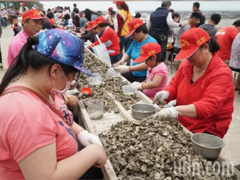 一年一度的金寧鄉「石蚵小麥文化季」，原訂在4月中旬舉辦，受新冠肺炎疫情影響，今天宣布今年將停辦。（資料相片）記者蔡家蓁／攝影