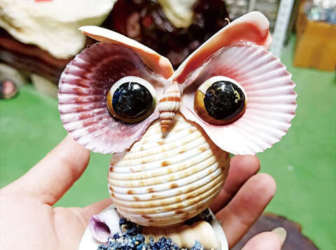 水試所「寶貝重返榮耀-金門食用貝類介紹與貝殼手工藝製作」受理報名活動免費、限額25名額滿為止，歡迎喜愛海洋生物、手工藝製作的鄉親踴躍報名。（水試所提供）