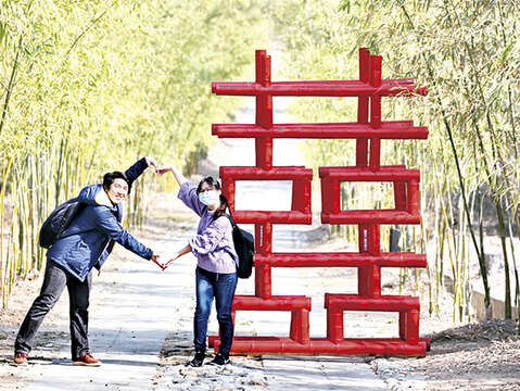 金門植物園在竹林隧道豎立大「囍」裝置藝術，為春節遊金門再增添一處打卡熱點。（陳冠霖攝）