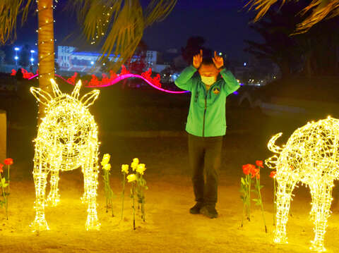 牛年即將到來，有著阿牛外號的楊鎮浯縣長和二隻燈牛合拍，形成「犇」字。（詹宗翰攝）