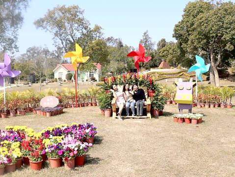林務所今年於小木屋旁設計彩虹風車，隨風轉動的風車加上花卉景觀及木工廠精心打造的木椅及造景，成為民眾遊園拍照或休憩新選擇。（林務所提供）