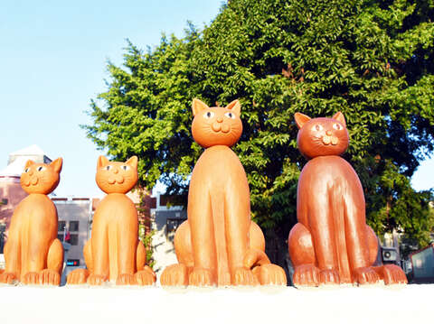 或舒懶腰、或趴伏著、或睥睨著牆下路人的貓咪，可愛生動模樣令人想親近。（詹宗翰攝）