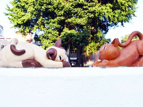 或舒懶腰、或趴伏著、或睥睨著牆下路人的貓咪，可愛生動模樣令人想親近。（詹宗翰攝）