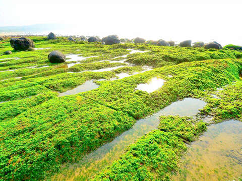烈嶼鄉公所於春季推出「綠色岐跡‧綠石槽電瓶車專線」，遊歷青岐海岸的綠石槽等美景。（烈嶼鄉公所提供）