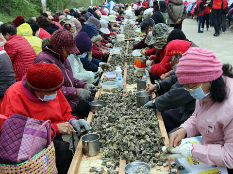 「2021石蚵小麥文化季之漫遊金寧活動」將於4月11日登場，系列活動中的重頭戲是剝蚵比賽。