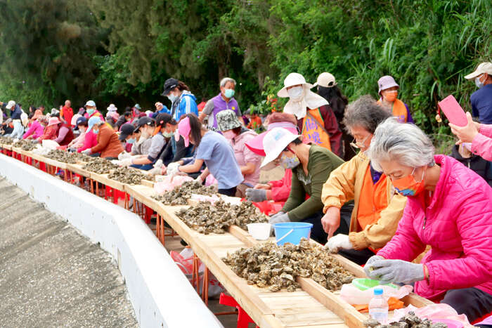 「千人剝蚵」將於27日登場。