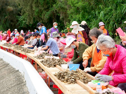 「千人剝蚵」將於27日登場。