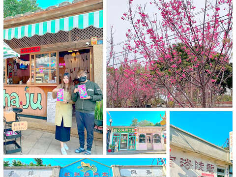 右上，陽翟櫻花綻放。（民眾提供）；左上、中、左下、右下，陽翟老街的特色店家，融合懷舊與現代的氛圍。（李映蓉攝）