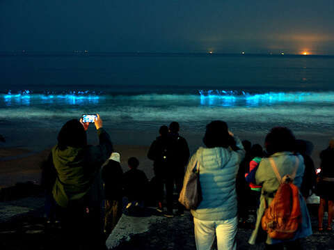 成功海灘這幾天出現藍眼淚，吸引許多民眾到場觀看。（薛子軒攝）