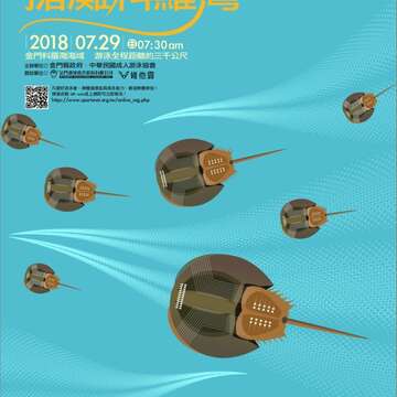 2018金廈泳渡暨搶灘料羅灣