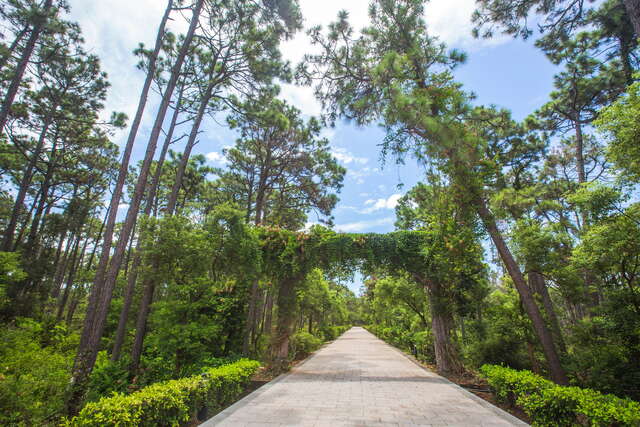 中山纪念林是金门第一座森林游乐区