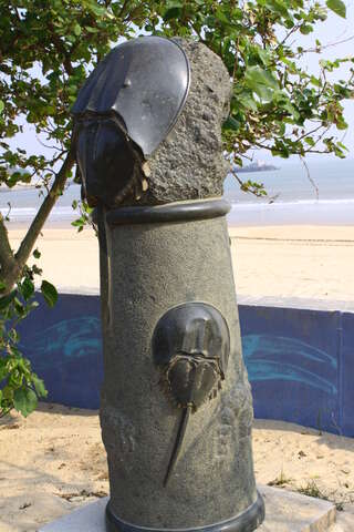 东林海滨公园鲎型石雕