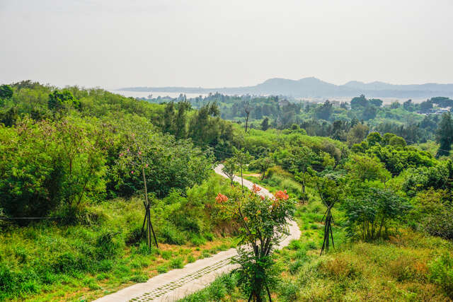 蜿蜒壯麗的小山路