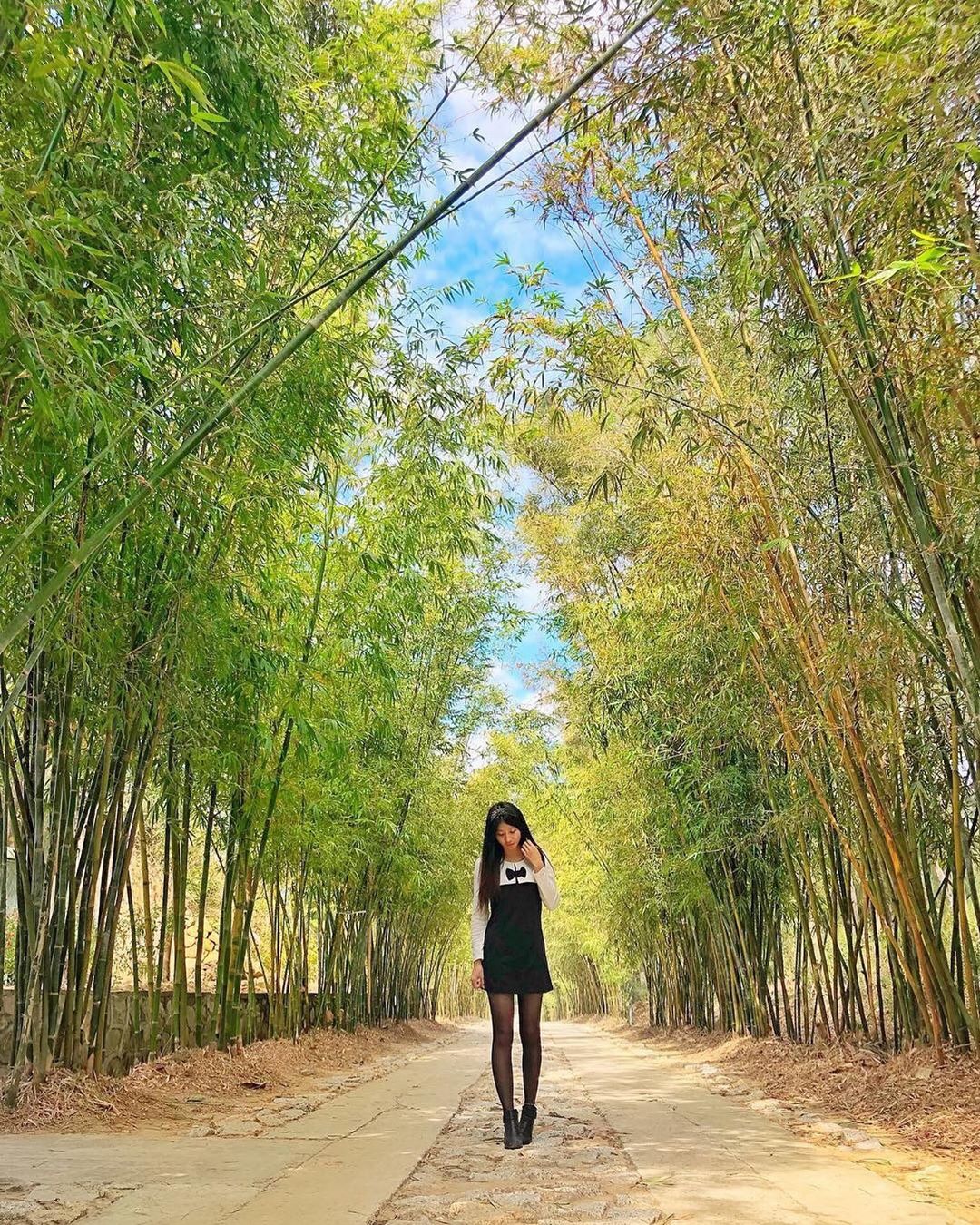 Blend with the green at bamboo forest 

被翠綠的竹林包圍，頓時覺得無憂無慮忘卻塵世煩憂～彷...