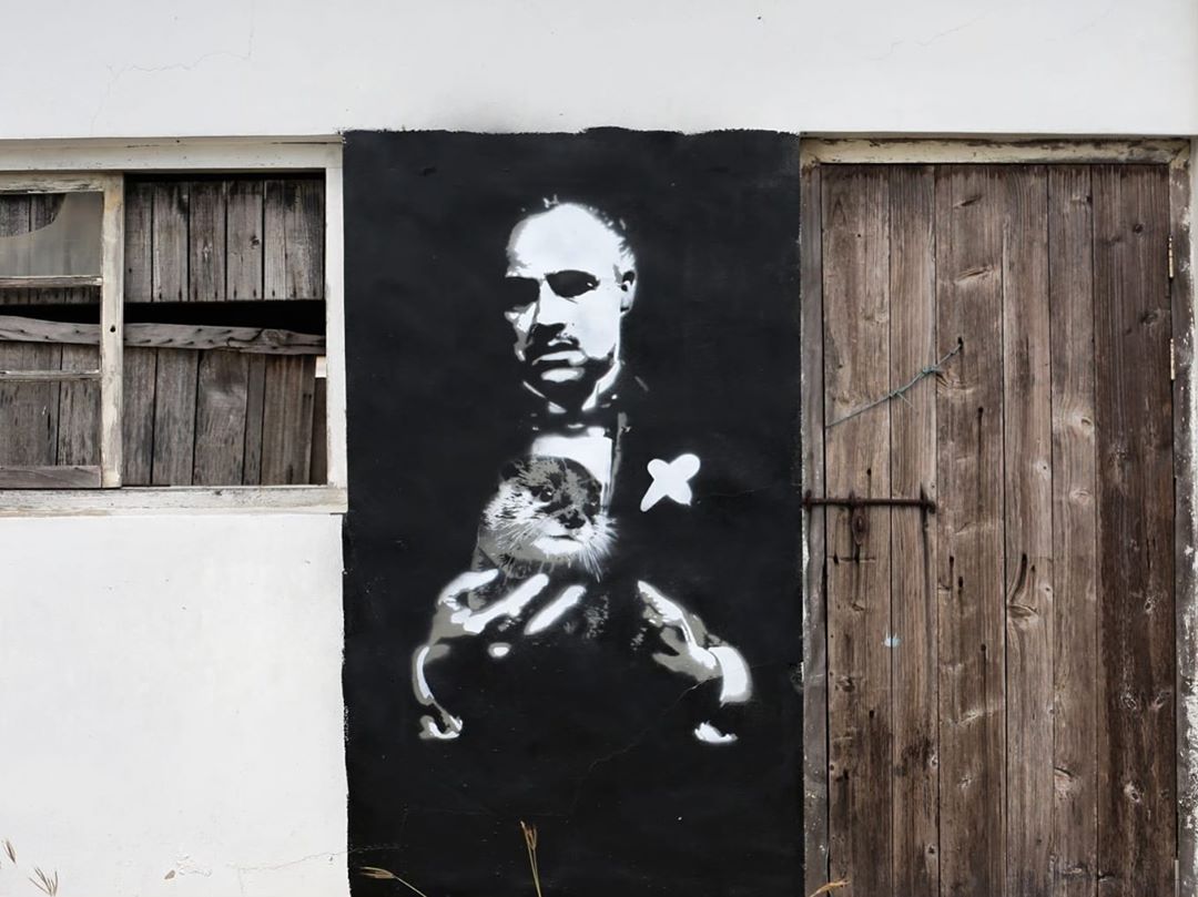 Pay tribute to Banksy
有點 #Banksy 風格的塗鴉
出現在金沙水庫附近～
圖像裡有隻可愛的水獺
像在暗示...