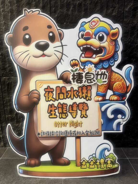 在金門才找得到我們歐亞水獺的蹤跡喲