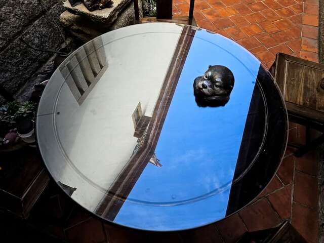 FB_IMG_1740862532625 - Steve Lee