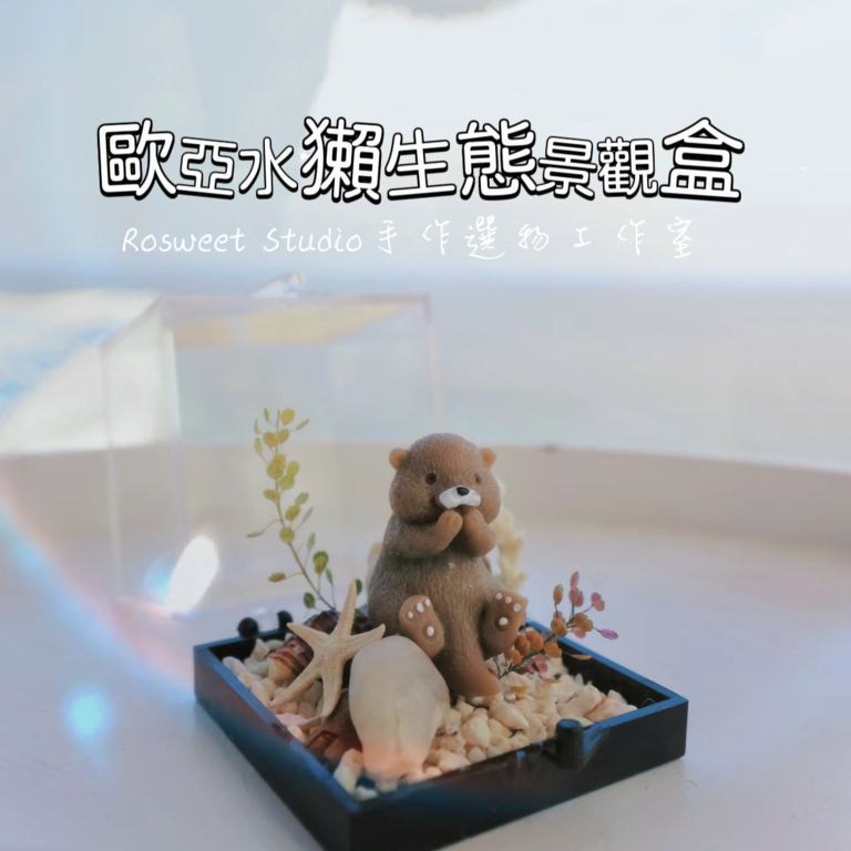 迷你水獺生態盒DIY