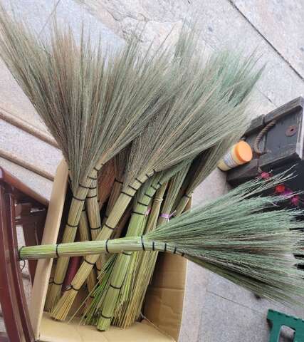 大黍草掃把