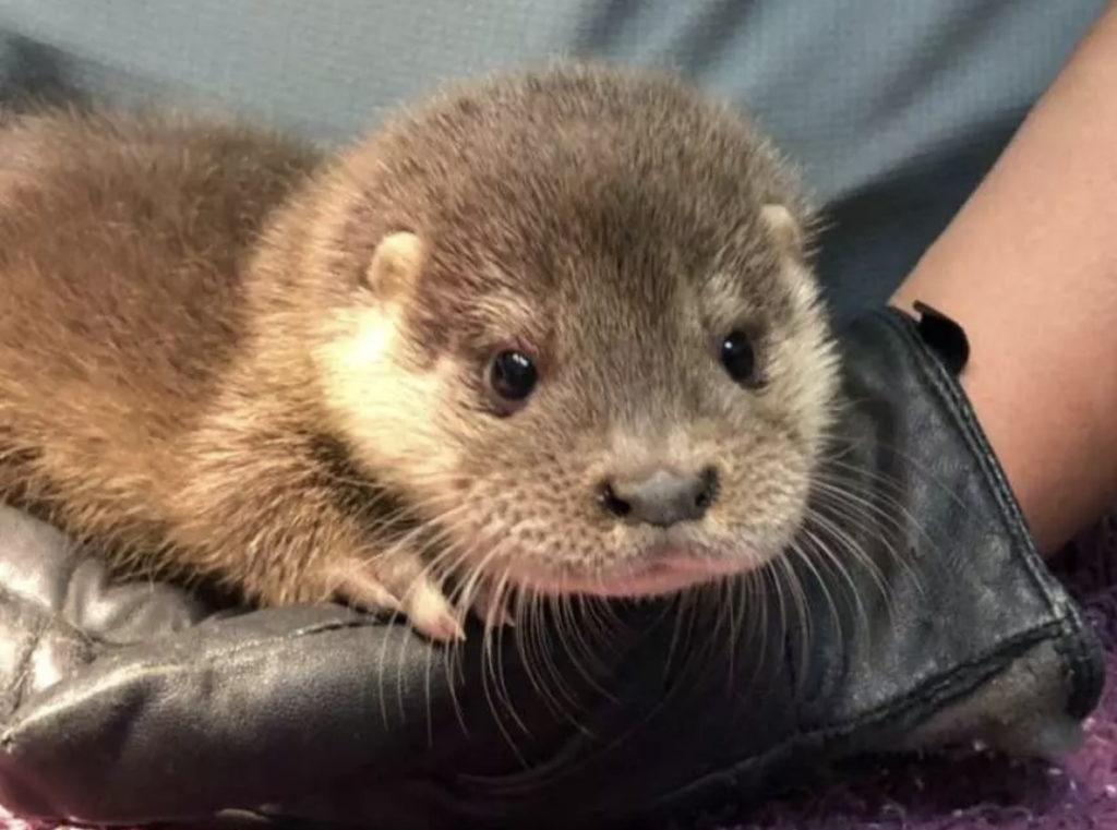 截圖 2025-05-22 下午12.15.16