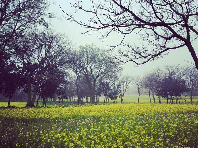 Climate_spring_2