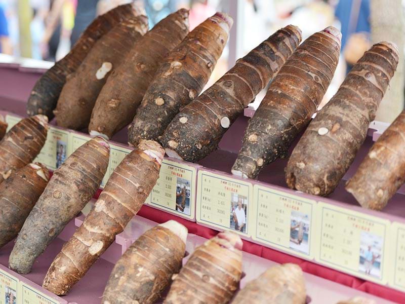 Taro from Little Kinmen