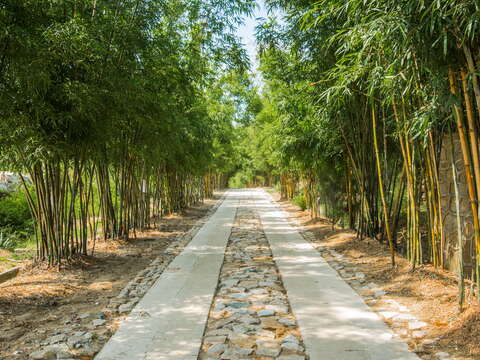 金門植物園