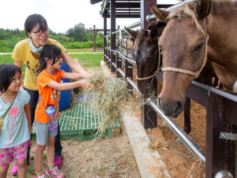 Kinmen County Livestock Research Institute