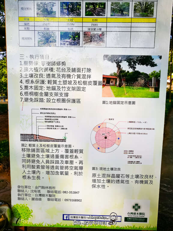 救救老榕樹可是浩大工程，但金門林務所不惜耗費鉅資投入精力