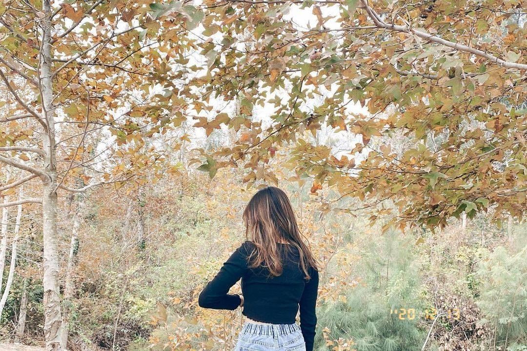 十一月至一月的楓香林，葉子開始轉黃或變紅，整個林間則透著浪漫
-
感謝   @_slife_v 美圖分享
-
在你的照片上標註# ...