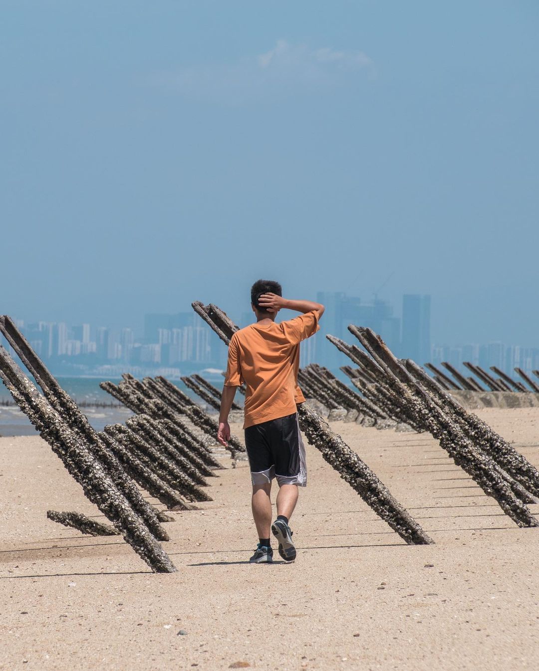 慈湖海堤
等到天氣放晴，再回到熱情的海灘上走走吧！

海灘上整齊的鐵條，是過去重要的海防設施之ㄧ，名為軌條砦，又稱反登陸樁。
-
...