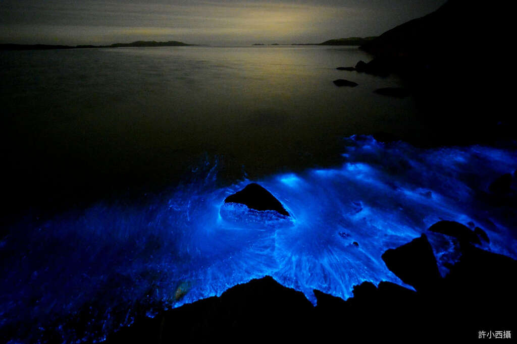 奇幻蓝海面